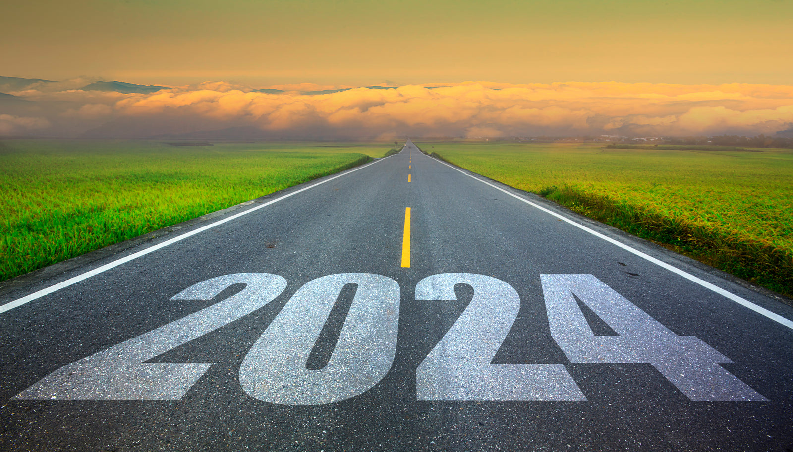 Fakten zur Verpackung 2024, die jeder Unternehmer braucht
