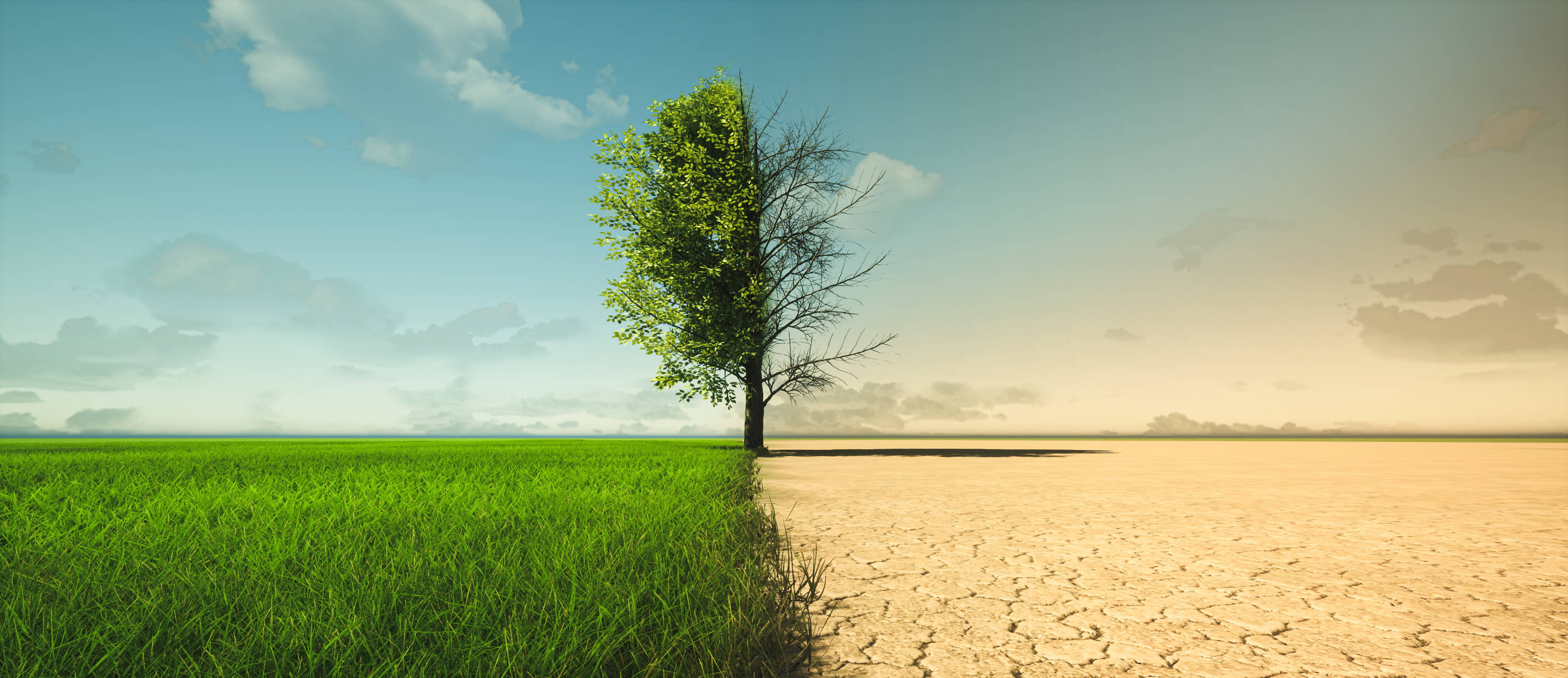 Lasst uns den Klimawandel vermeiden!