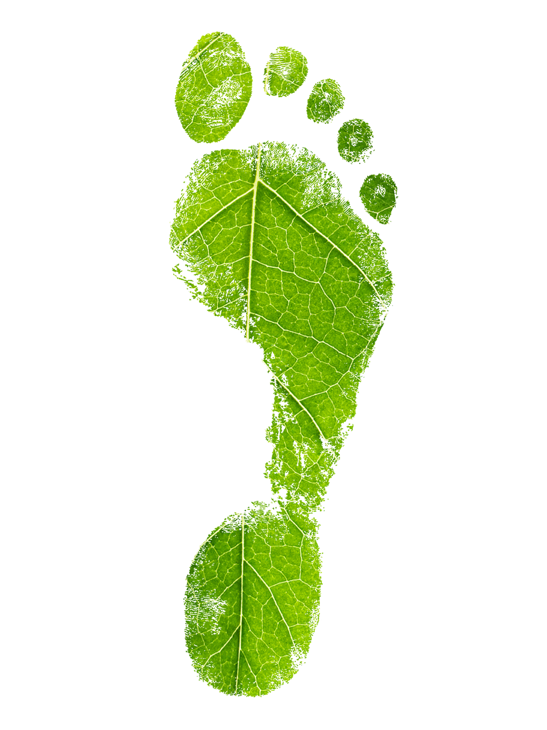 Ein Bild eines Fußabdrucks aus einem grünen Blatt.